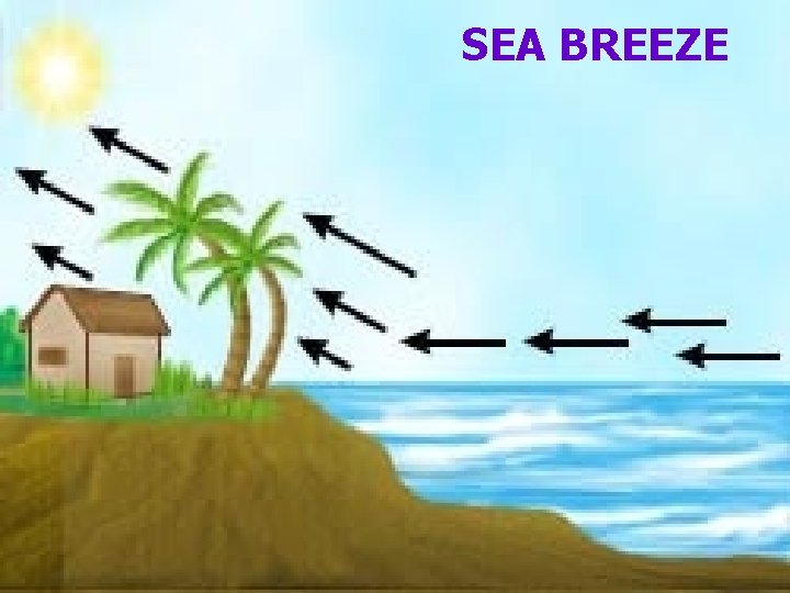 SEA BREEZE 