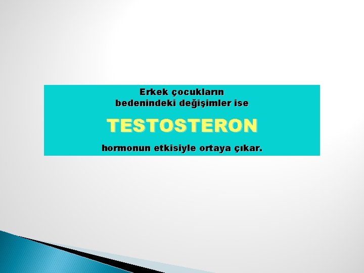 Erkek çocukların bedenindeki değişimler ise TESTOSTERON hormonun etkisiyle ortaya çıkar. 