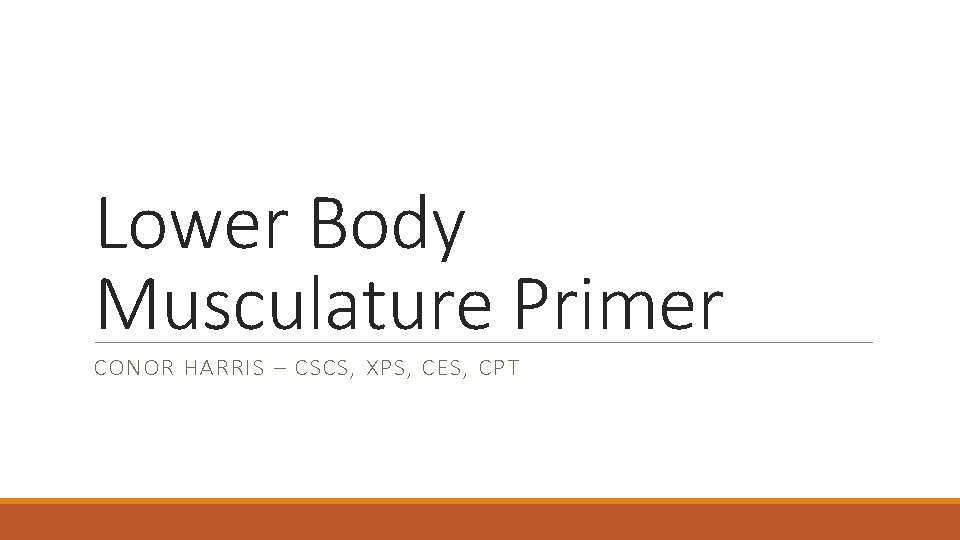 Lower Body Musculature Primer CONOR HARRIS – CSCS, XPS, CES, CPT 