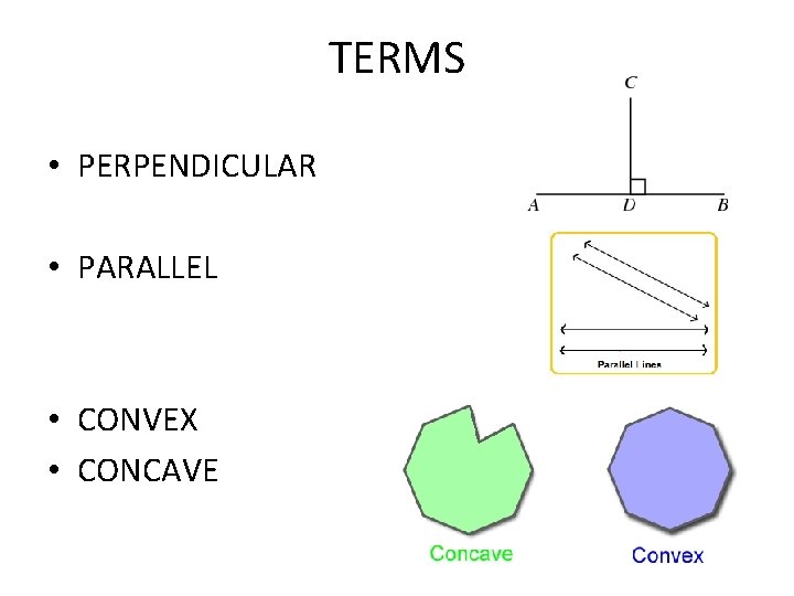 TERMS • PERPENDICULAR • PARALLEL • CONVEX • CONCAVE 
