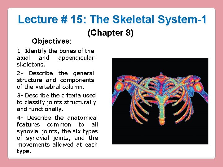 Lecture # 15: The Skeletal System-1 Objectives: (Chapter 8) 1 - Identify the bones