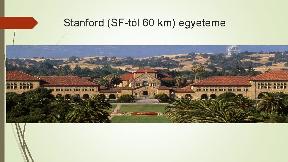 Stanford (SF-tól 60 km) egyeteme 