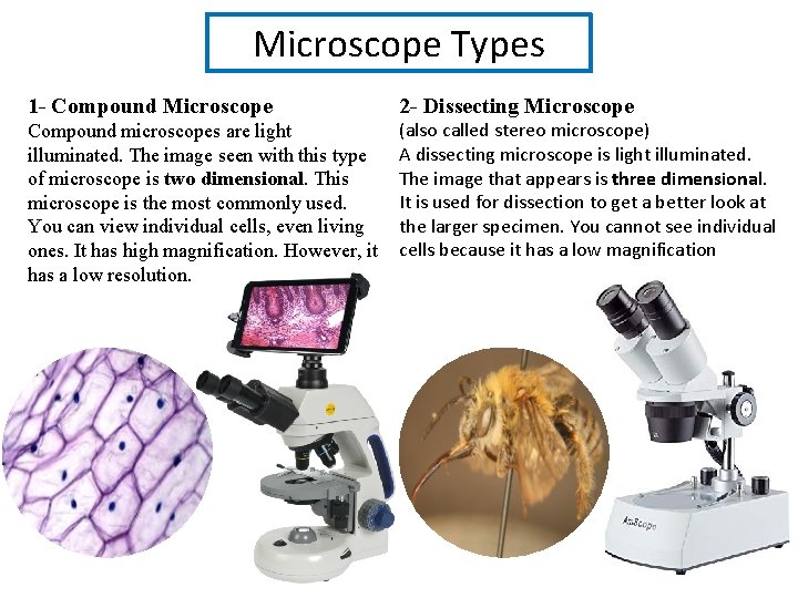 Microscope Types 1 - Compound Microscope 2 - Dissecting Microscope Compound microscopes are light Microscope Types 1 - Compound Microscope 2 - Dissecting Microscope Compound microscopes are light