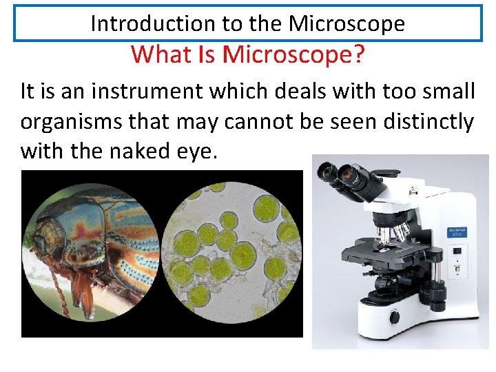 Introduction to the Microscope What Is Microscope? It is an instrument which deals with Introduction to the Microscope What Is Microscope? It is an instrument which deals with