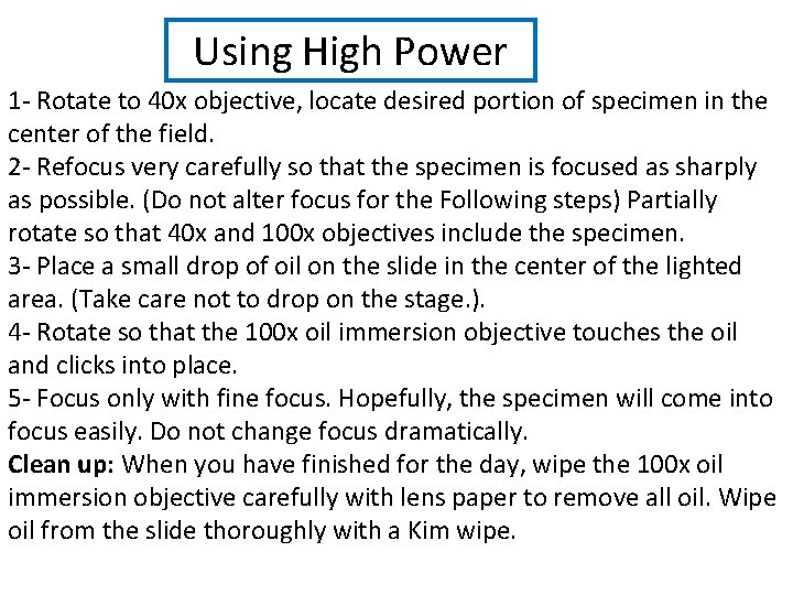 Using High Power 1 - Rotate to 40 x objective, locate desired portion of Using High Power 1 - Rotate to 40 x objective, locate desired portion of