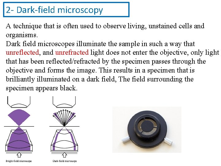 2 - Dark-field microscopy A technique that is often used to observe living, unstained 2 - Dark-field microscopy A technique that is often used to observe living, unstained