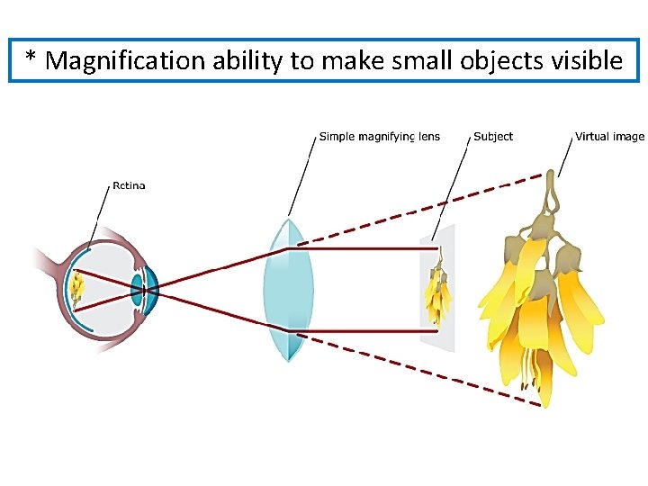 * Magnification ability to make small objects visible * Magnification ability to make small objects visible