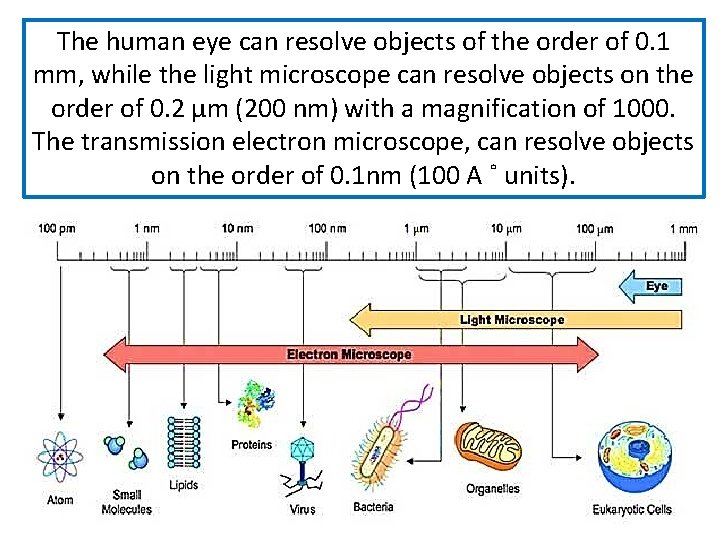 The human eye can resolve objects of the order of 0. 1 mm, while The human eye can resolve objects of the order of 0. 1 mm, while