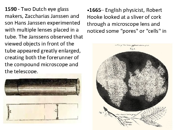 1590 - Two Dutch eye glass • 1665– English physicist, Robert makers, Zaccharias Janssen 1590 - Two Dutch eye glass • 1665– English physicist, Robert makers, Zaccharias Janssen