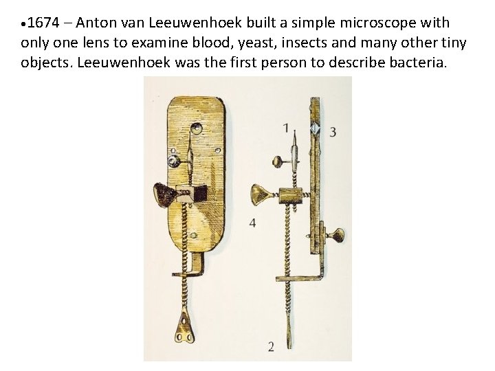 • 1674 – Anton van Leeuwenhoek built a simple microscope with only one • 1674 – Anton van Leeuwenhoek built a simple microscope with only one