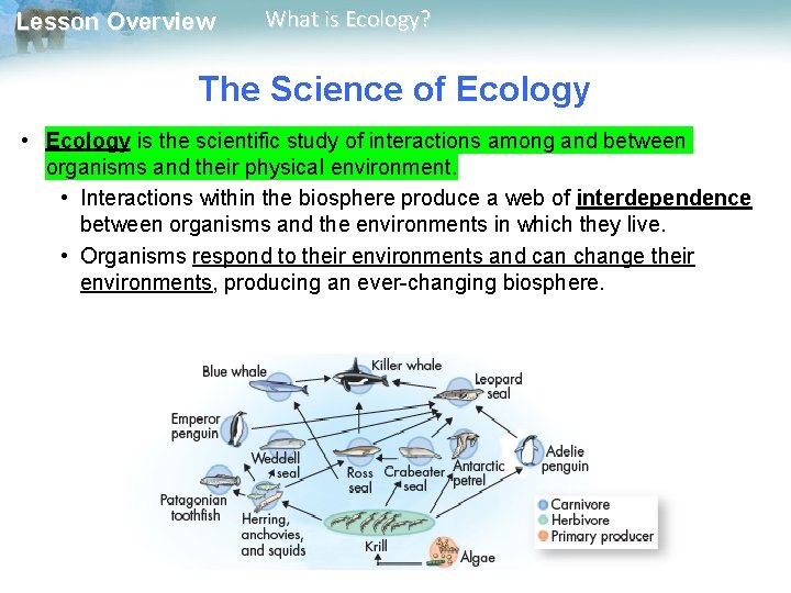 Lesson Overview What is Ecology? The Science of Ecology • Ecology is the scientific