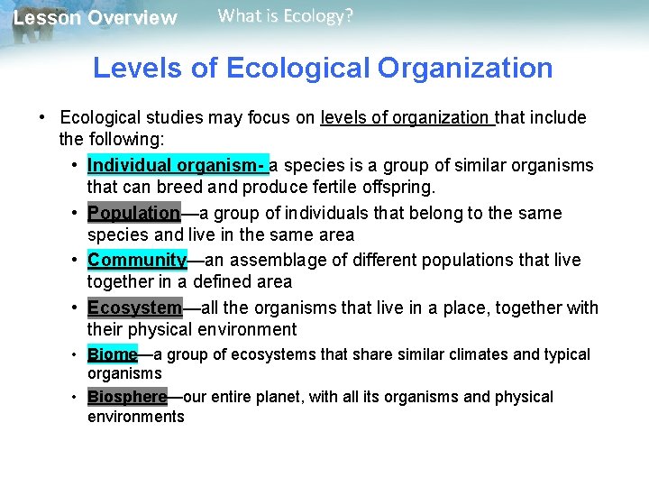 Lesson Overview What is Ecology? Levels of Ecological Organization • Ecological studies may focus