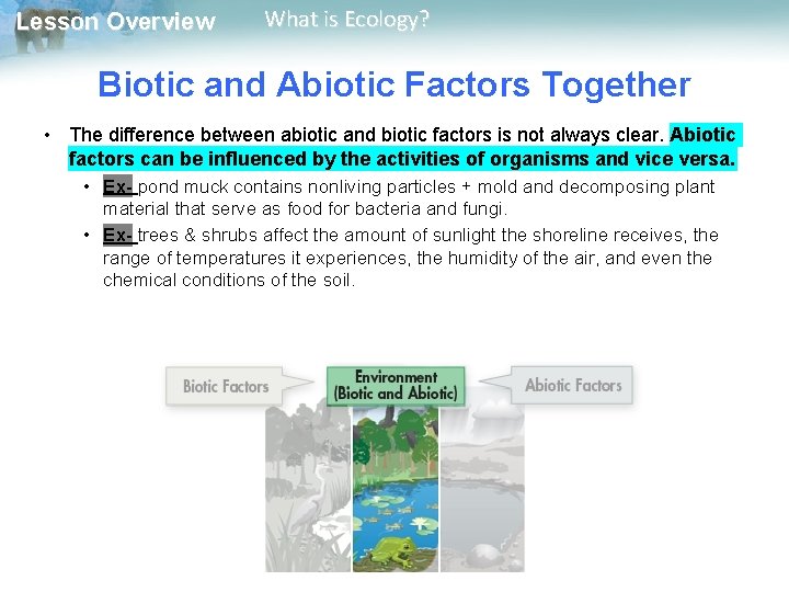 Lesson Overview What is Ecology? Biotic and Abiotic Factors Together • The difference between