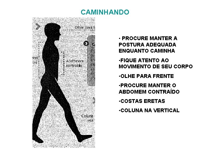 CAMINHANDO • PROCURE MANTER A POSTURA ADEQUADA ENQUANTO CAMINHA • FIQUE ATENTO AO MOVIMENTO CAMINHANDO • PROCURE MANTER A POSTURA ADEQUADA ENQUANTO CAMINHA • FIQUE ATENTO AO MOVIMENTO