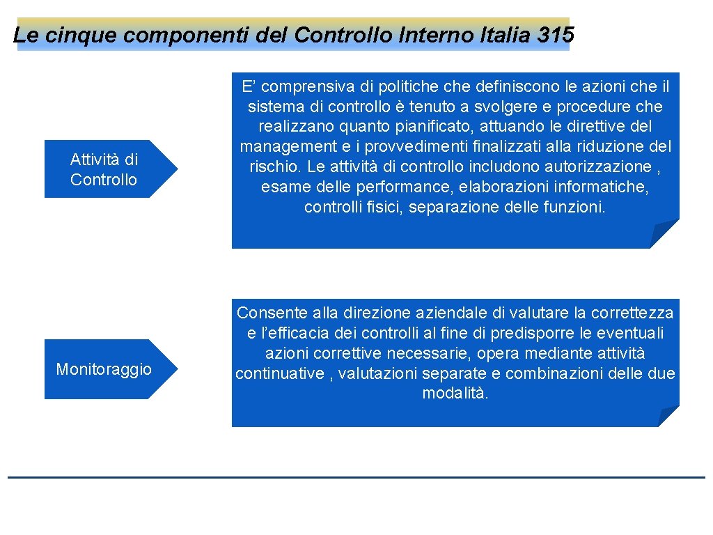 Le cinque componenti del Controllo Interno Italia 315 Attività di Controllo Monitoraggio E’ comprensiva