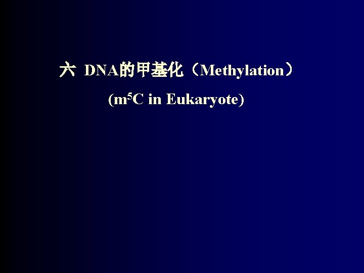 六 DNA的甲基化（Methylation） (m 5 C in Eukaryote) 