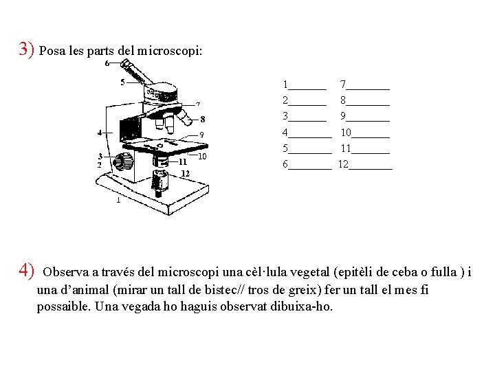 3) Posa les parts del microscopi: 1_______ 7____ 2_______ 8____ 3_______ 9____ 4____ 10_______