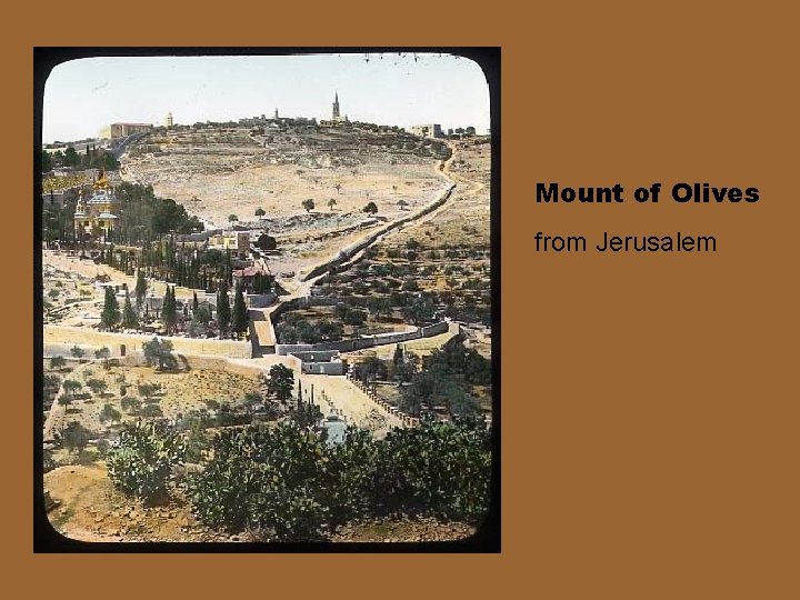 Mount of Olives from Jerusalem 