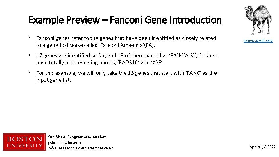Example Preview – Fanconi Gene Introduction • Fanconi genes refer to the genes that
