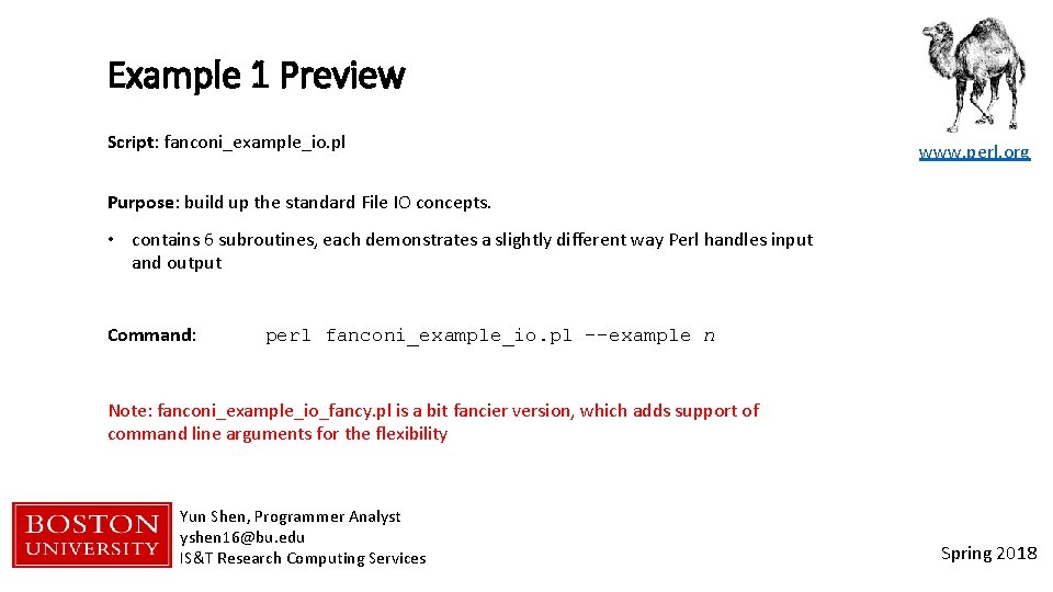 Example 1 Preview Script: fanconi_example_io. pl www. perl. org Purpose: build up the standard