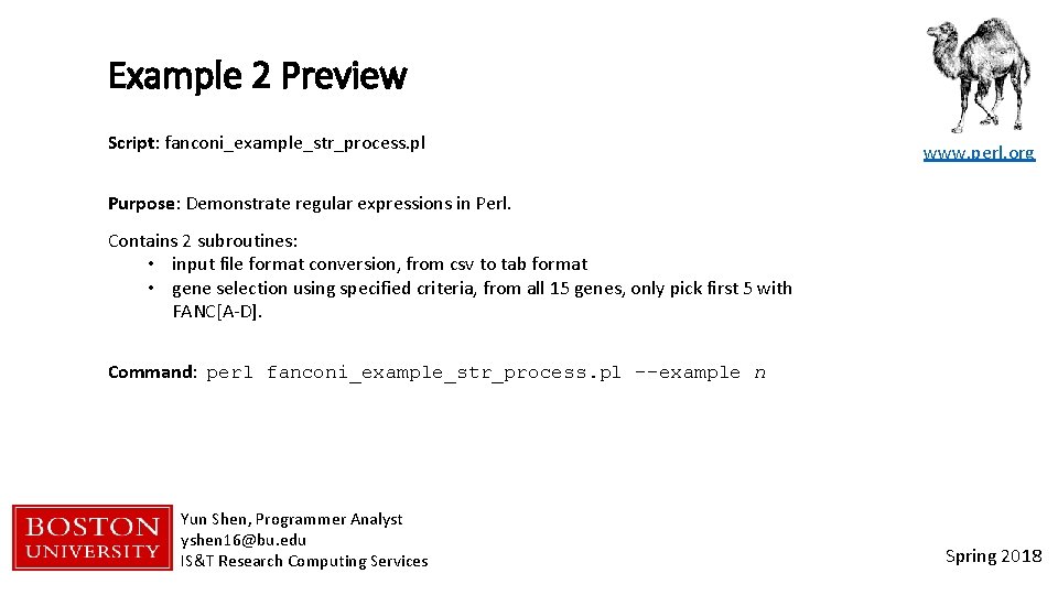 Example 2 Preview Script: fanconi_example_str_process. pl www. perl. org Purpose: Demonstrate regular expressions in