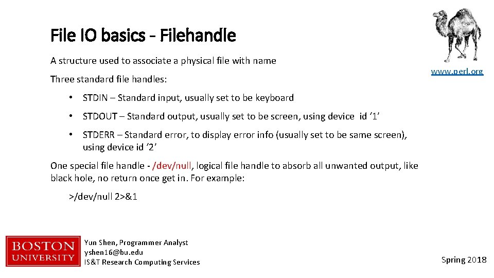 File IO basics - Filehandle A structure used to associate a physical file with