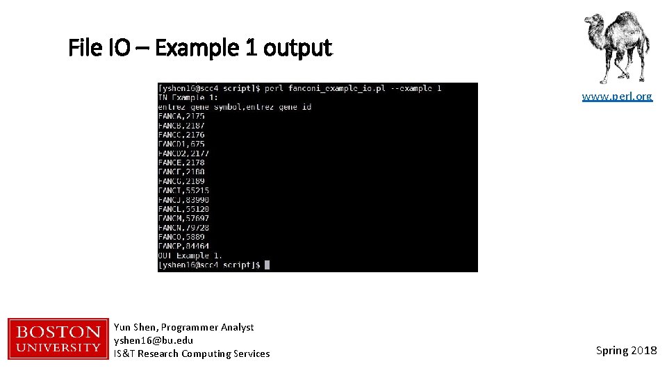 File IO – Example 1 output www. perl. org Yun Shen, Programmer Analyst yshen