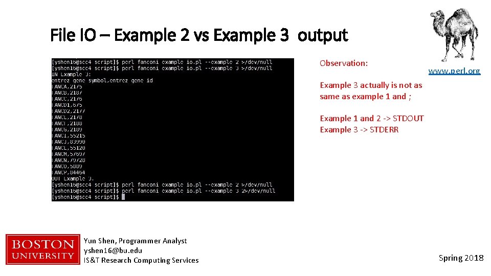 File IO – Example 2 vs Example 3 output Observation: www. perl. org Example