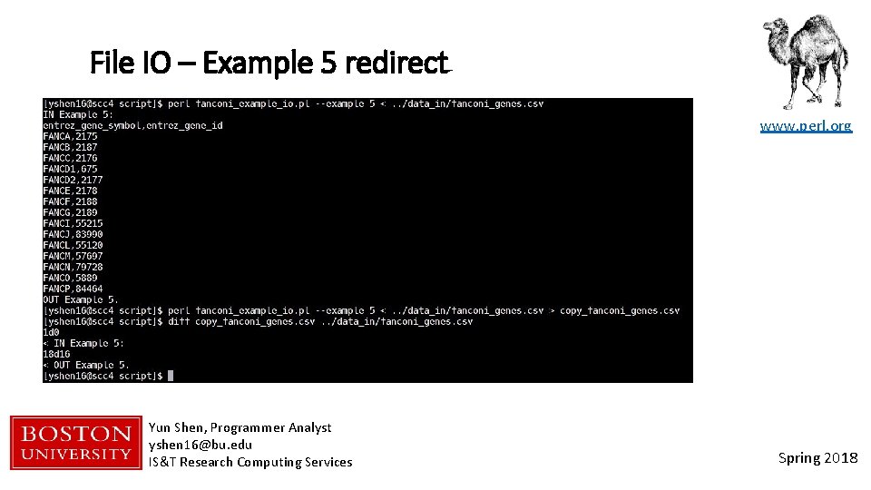 File IO – Example 5 redirect www. perl. org Yun Shen, Programmer Analyst yshen