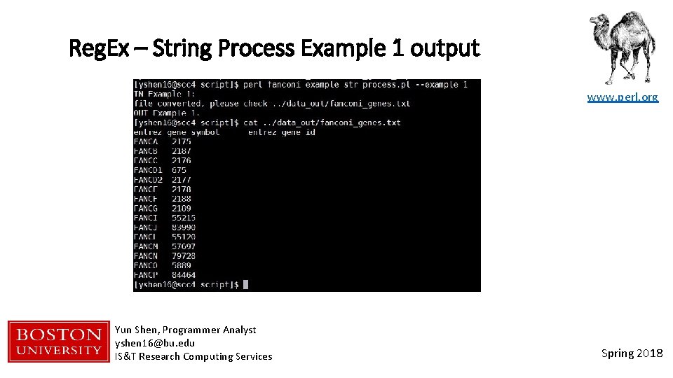 Reg. Ex – String Process Example 1 output www. perl. org Yun Shen, Programmer