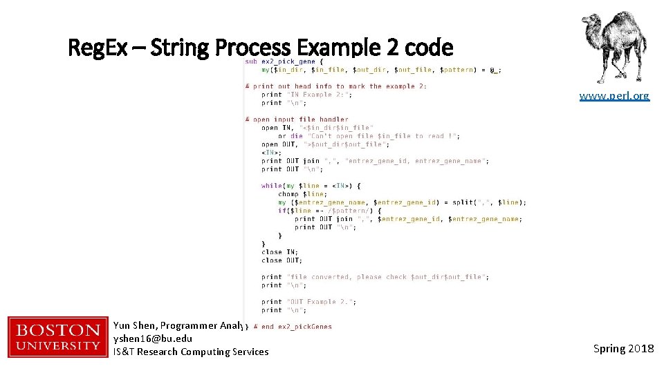 Reg. Ex – String Process Example 2 code www. perl. org Yun Shen, Programmer