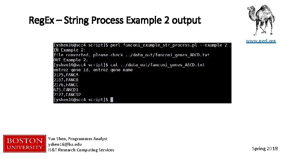 Reg. Ex – String Process Example 2 output www. perl. org Yun Shen, Programmer
