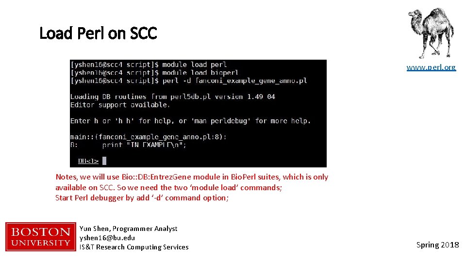 Load Perl on SCC www. perl. org Notes, we will use Bio: : DB: