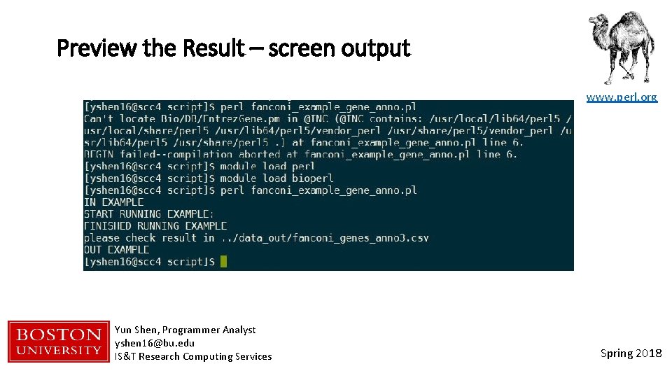 Preview the Result – screen output www. perl. org Yun Shen, Programmer Analyst yshen