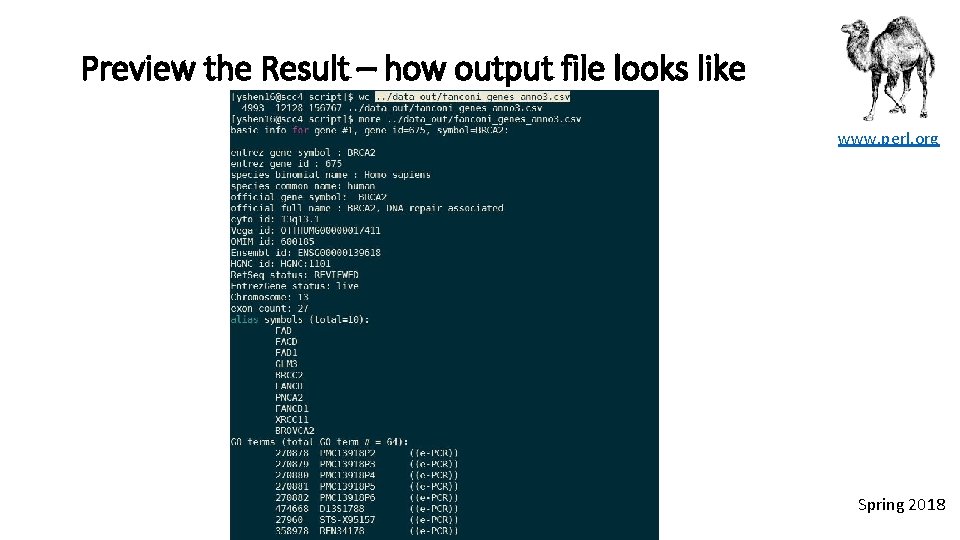 Preview the Result – how output file looks like www. perl. org Spring 2018