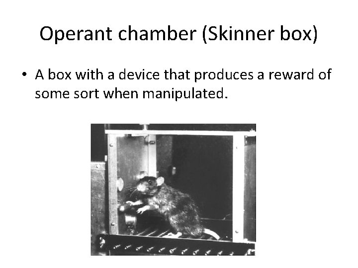 Operant chamber (Skinner box) • A box with a device that produces a reward