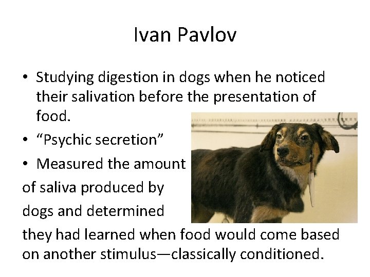 Ivan Pavlov • Studying digestion in dogs when he noticed their salivation before the