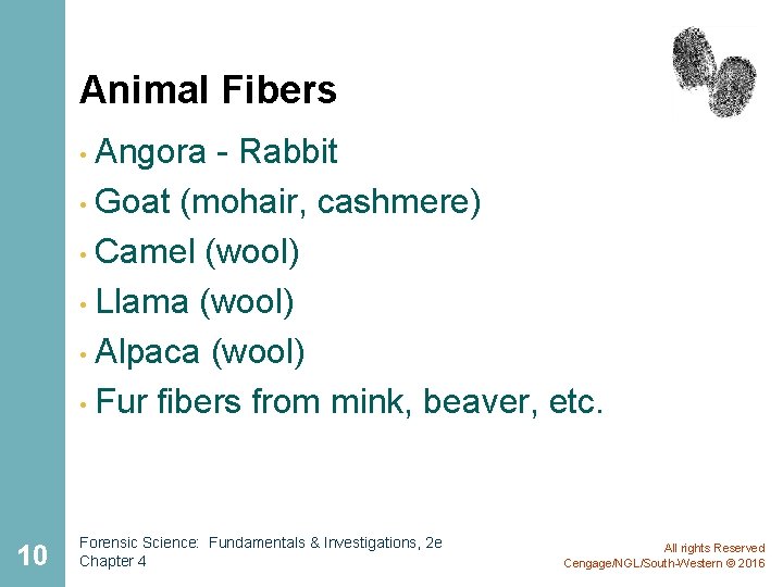 Animal Fibers Angora - Rabbit • Goat (mohair, cashmere) • Camel (wool) • Llama