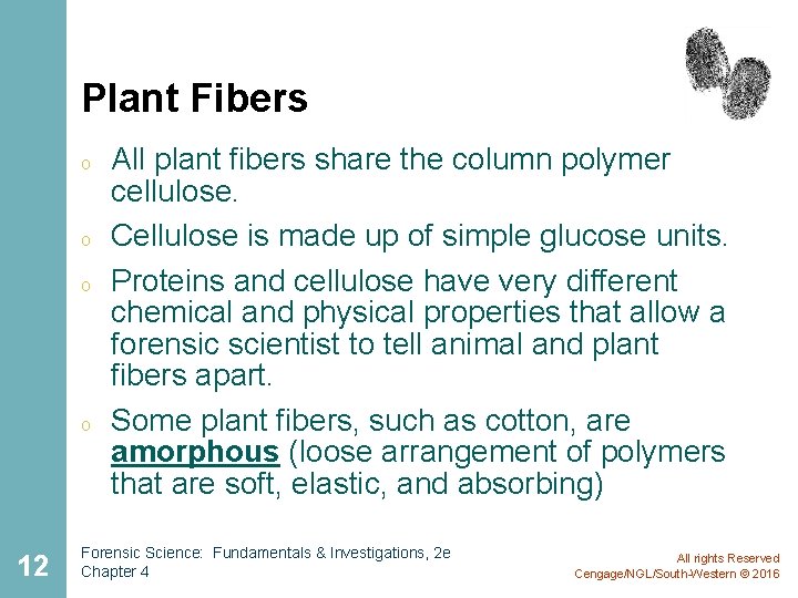 Plant Fibers o o 12 All plant fibers share the column polymer cellulose. Cellulose