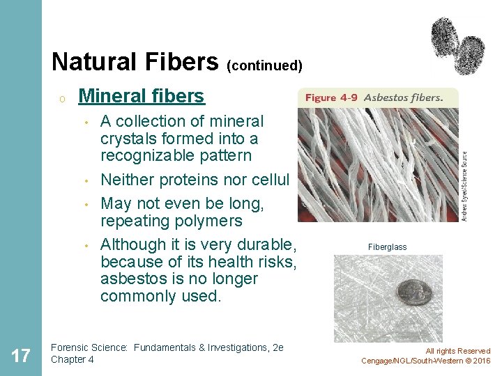 Natural Fibers (continued) o Mineral fibers • • 17 A collection of mineral crystals