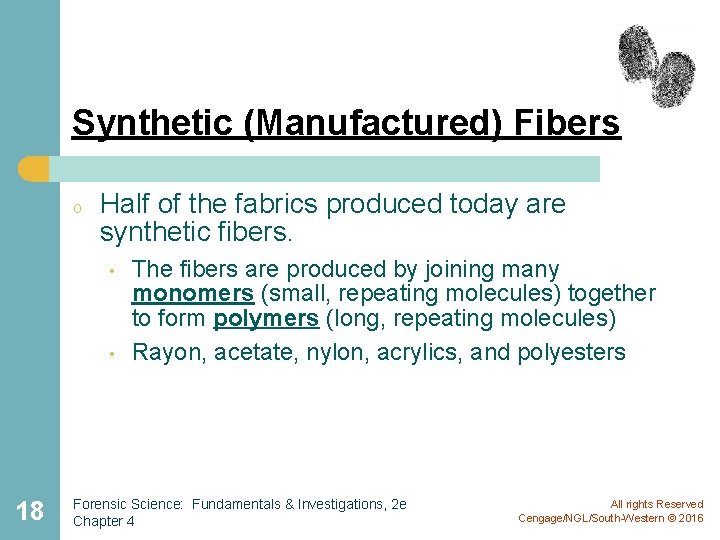 Synthetic (Manufactured) Fibers o Half of the fabrics produced today are synthetic fibers. •