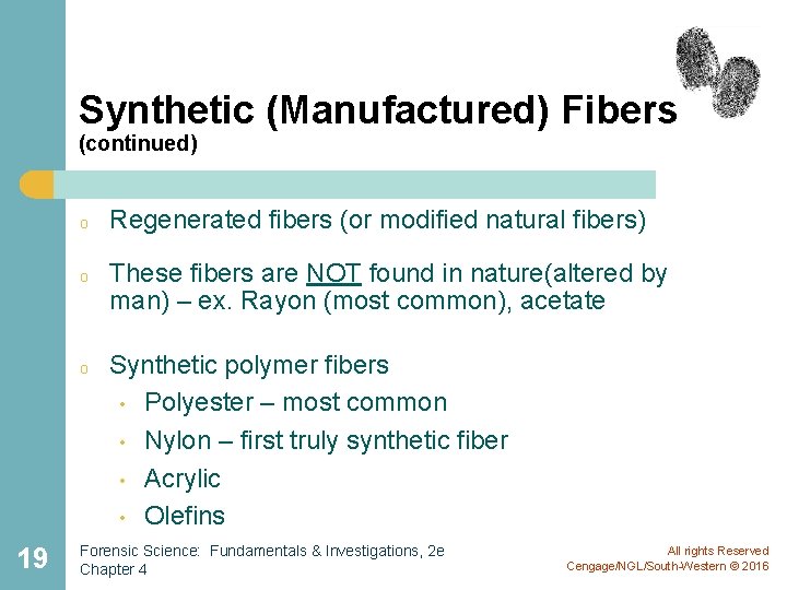 Synthetic (Manufactured) Fibers (continued) o Regenerated fibers (or modified natural fibers) These fibers are