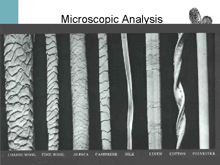 Microscopic Analysis 21 Forensic Science: Fundamentals & Investigations, 2 e Chapter 4 All rights