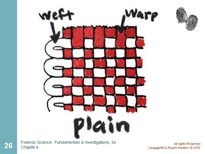 26 Forensic Science: Fundamentals & Investigations, 2 e Chapter 4 All rights Reserved Cengage/NGL/South-Western