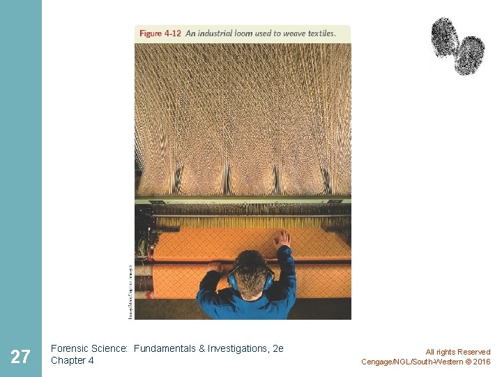 27 Forensic Science: Fundamentals & Investigations, 2 e Chapter 4 All rights Reserved Cengage/NGL/South-Western