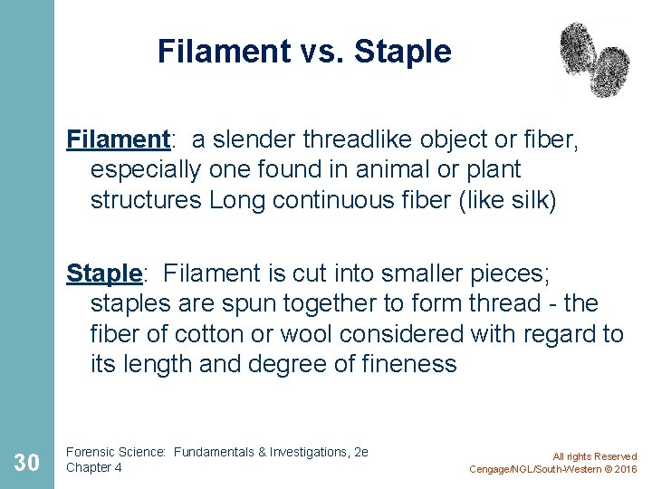 Filament vs. Staple Filament: a slender threadlike object or fiber, especially one found in