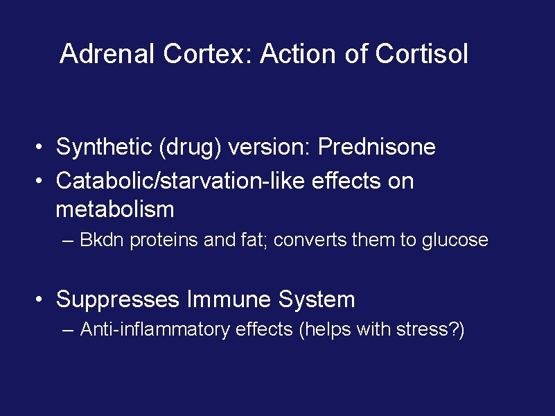 Adrenal Cortex: Action of Cortisol • Synthetic (drug) version: Prednisone • Catabolic/starvation-like effects on Adrenal Cortex: Action of Cortisol • Synthetic (drug) version: Prednisone • Catabolic/starvation-like effects on