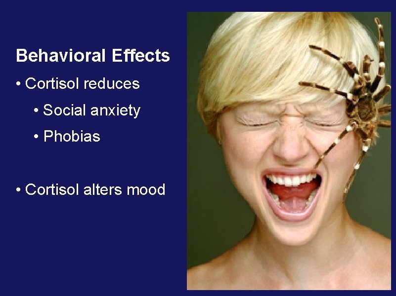 Behavioral Effects • Cortisol reduces • Social anxiety • Phobias • Cortisol alters mood Behavioral Effects • Cortisol reduces • Social anxiety • Phobias • Cortisol alters mood