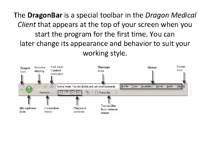 The Dragon. Bar is a special toolbar in the Dragon Medical Client that appears