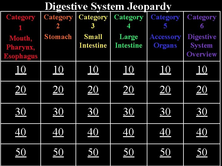 Digestive System Jeopardy Category Category 2 3 4 5 6 1 Stomach Small Large